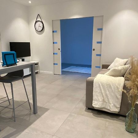 Maison Appart, Le Cocon Brindasien, 20 Min De Lyon, 66 M2 Zewnętrze zdjęcie
